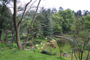 20130616貴陽風水鑑定052-分享