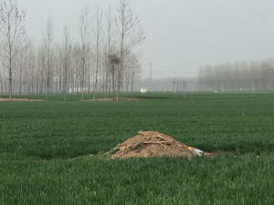 20150330-平陽一穴勝千峰01-640