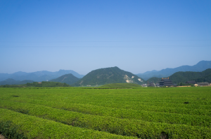 20150801紹興風水傳承教學-47-外局01-640