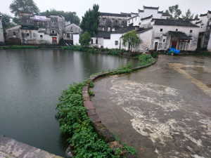 20161022-dsc_1372-%e8%ab%b8%e8%91%9b640